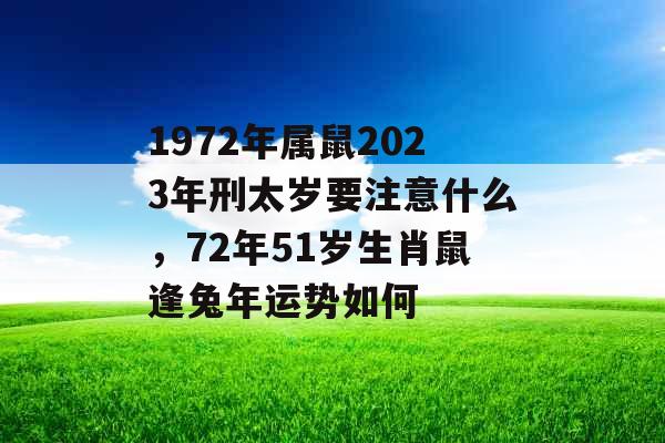 1972年属鼠2023年刑太岁要注意什么，72年51岁生肖鼠逢兔年运势如何