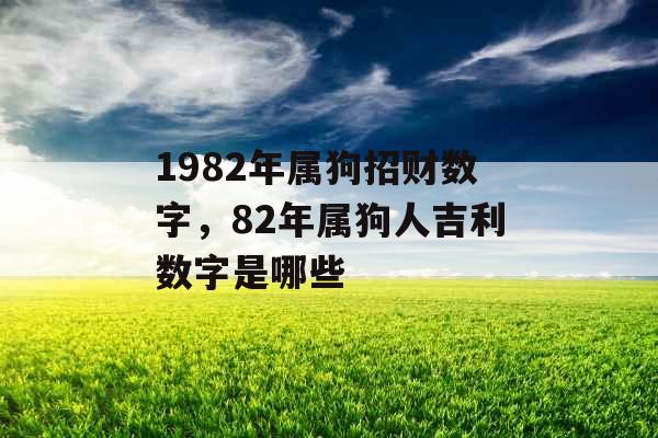 1982年属狗招财数字，82年属狗人吉利数字是哪些