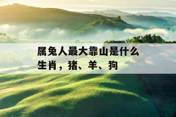 属兔人最大靠山是什么生肖,猪、羊、狗 属兔人最大靠山是什么生肖,猪、羊、狗