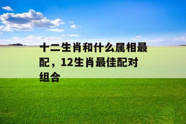 十二生肖和什么属相最配，12生肖最佳配对组合