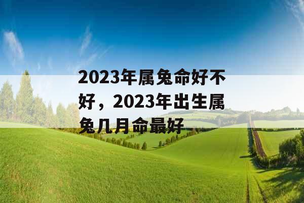 2023年属兔命好不好，2023年出生属兔几月命最好