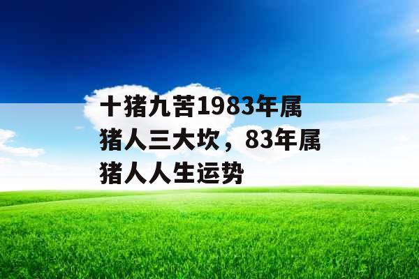 十猪九苦1983年属猪人三大坎,83年属猪人人生运势