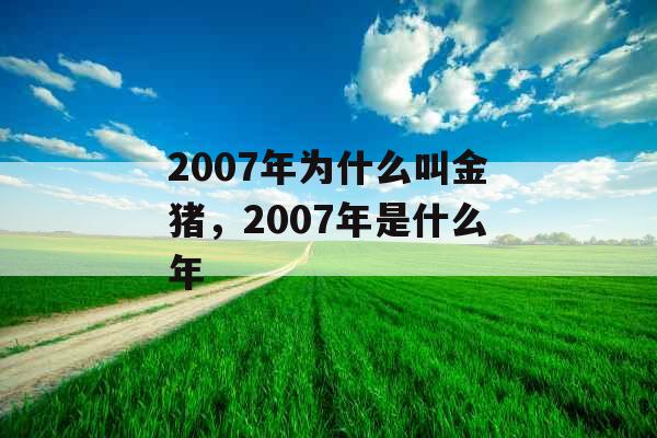 2007年为什么叫金猪，2007年是什么年