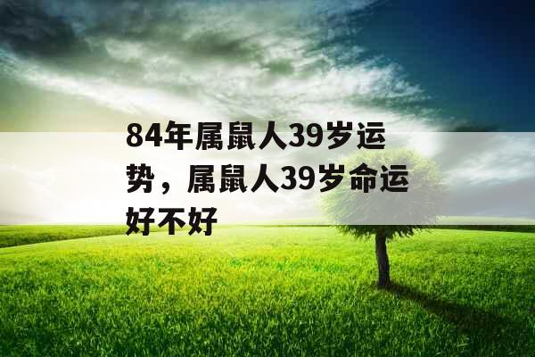 84年属鼠人39岁运势，属鼠人39岁命运好不好