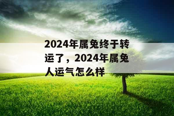 2024年属兔终于转运了，2024年属兔人运气怎么样