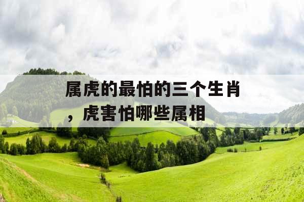 属虎的最怕的三个生肖，虎害怕哪些属相