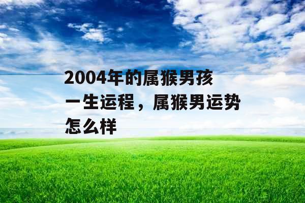 2004年的属猴男孩一生运程,属猴男运势怎么样 2004年的属猴男孩一生运程,属猴男运势怎么样