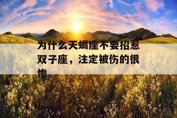 为什么天蝎座不要招惹双子座，注定被伤的很惨