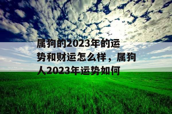 属狗的2023年的运势和财运怎么样，属狗人2023年运势如何