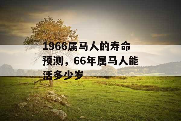 1966属马人的寿命预测，66年属马人能活多少岁