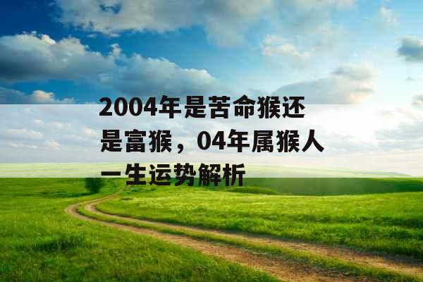 2004年是苦命猴还是富猴，04年属猴人一生运势解析