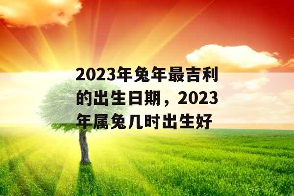 2023年兔年最吉利的出生日期，2023年属兔几时出生好