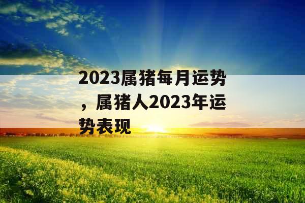 2023属猪每月运势，属猪人2023年运势表现