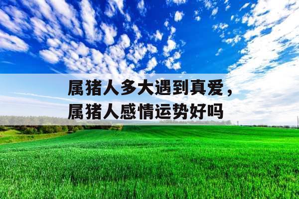 属猪人多大遇到真爱，属猪人感情运势好吗