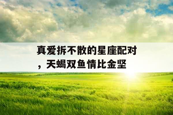 真爱拆不散的星座配对，天蝎双鱼情比金坚