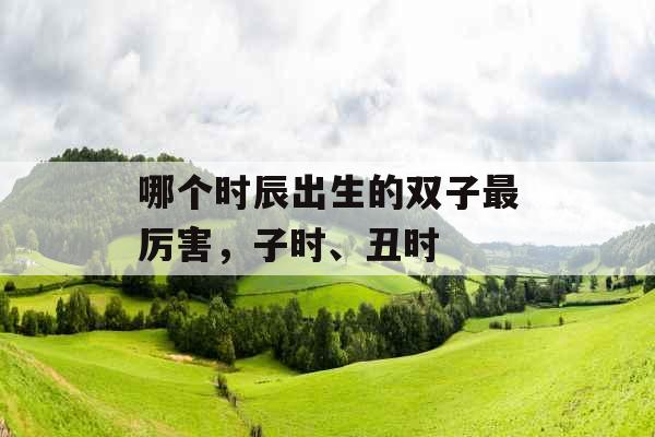 哪个时辰出生的双子最厉害，子时、丑时