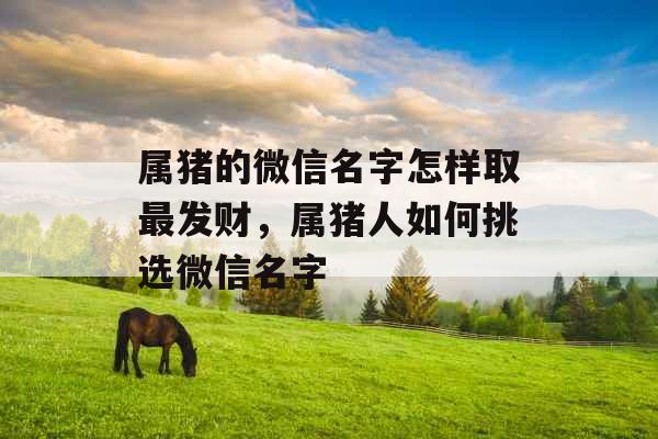 属猪的微信名字怎样取最发财，属猪人如何挑选微信名字