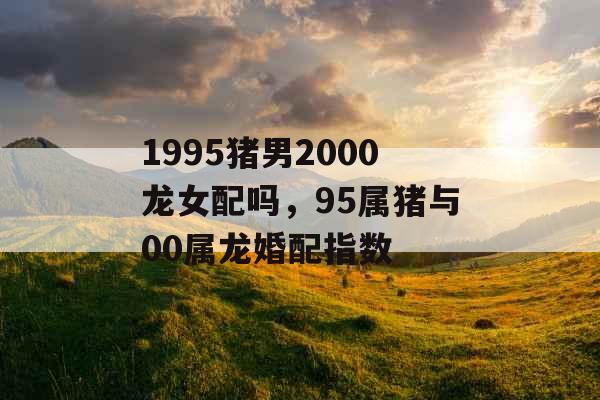 1995猪男2000龙女配吗，95属猪与00属龙婚配指数