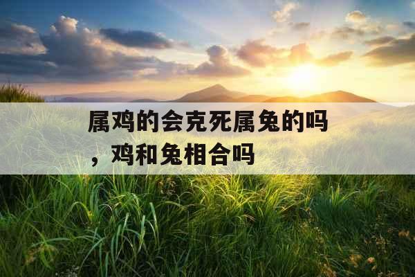 属鸡的会克死属兔的吗，鸡和兔相合吗
