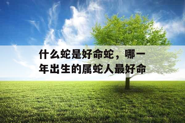 什么蛇是好命蛇，哪一年出生的属蛇人最好命