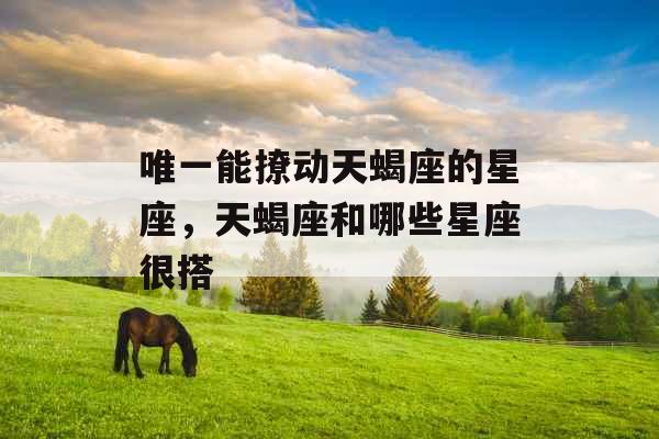 唯一能撩动天蝎座的星座，天蝎座和哪些星座很搭