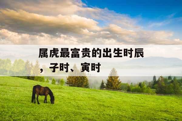 属虎最富贵的出生时辰，子时、寅时