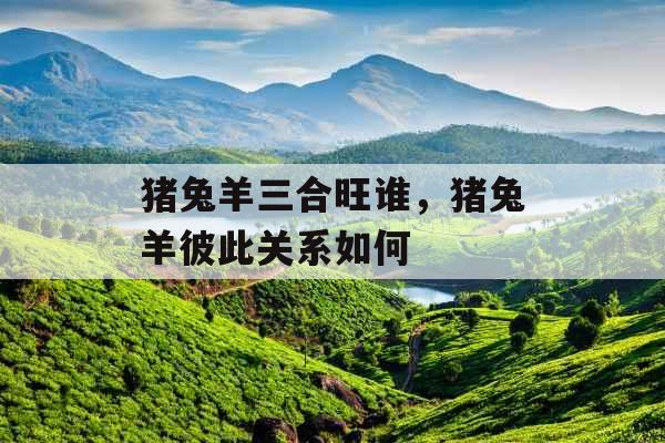 猪兔羊三合旺谁，猪兔羊彼此关系如何