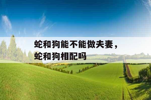 蛇和狗能不能做夫妻，蛇和狗相配吗