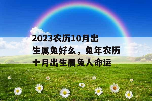 2023农历10月出生属兔好么，兔年农历十月出生属兔人命运