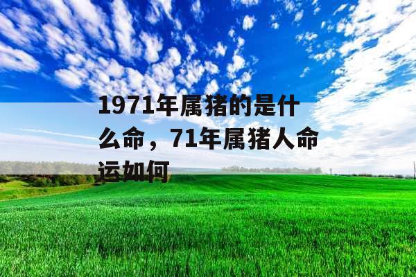 1971年属猪的是什么命，71年属猪人命运如何