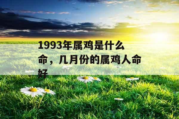 1993年属鸡是什么命，几月份的属鸡人命好