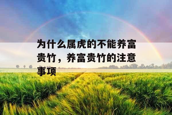 为什么属虎的不能养富贵竹，养富贵竹的注意事项