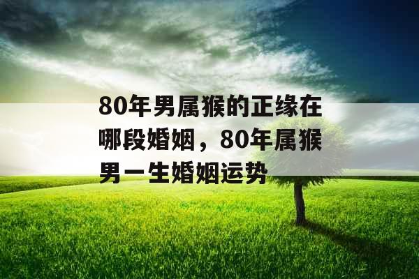 80年男属猴的正缘在哪段婚姻，80年属猴男一生婚姻运势