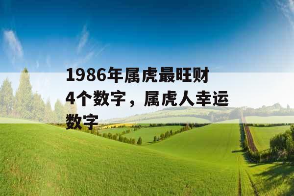 1986年属虎最旺财4个数字，属虎人幸运数字