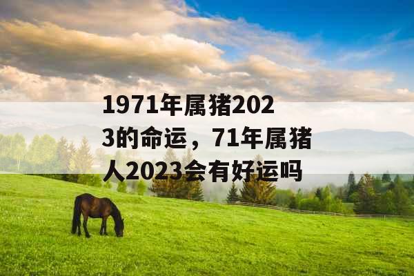 1971年属猪2023的命运，71年属猪人2023会有好运吗