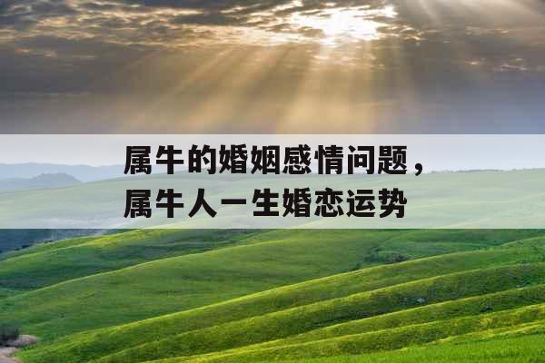 属牛的婚姻感情问题，属牛人一生婚恋运势