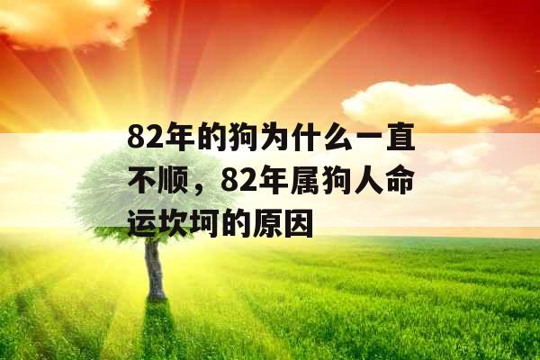 82年的狗为什么一直不顺，82年属狗人命运坎坷的原因