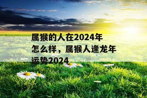 属猴的人在2024年怎么样，属猴人逢龙年运势2024