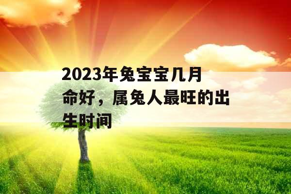 2023年兔宝宝几月命好，属兔人最旺的出生时间
