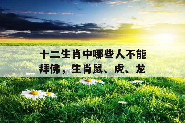 十二生肖中哪些人不能拜佛，生肖鼠、虎、龙