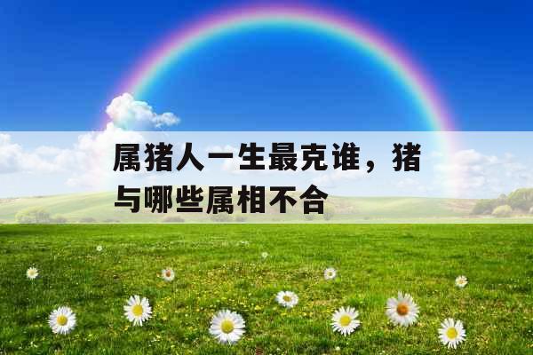 属猪人一生最克谁，猪与哪些属相不合