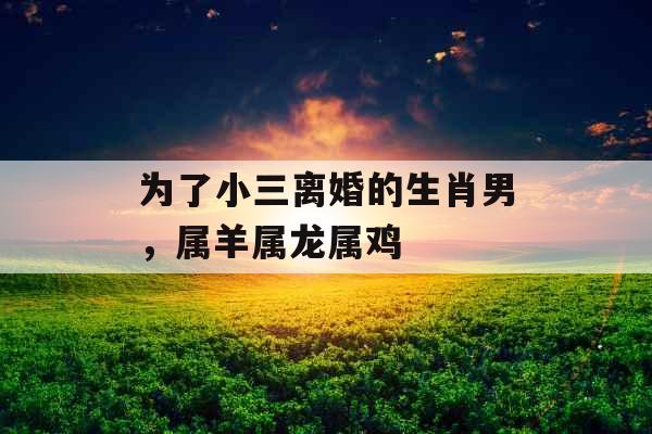 为了小三离婚的生肖男，属羊属龙属鸡