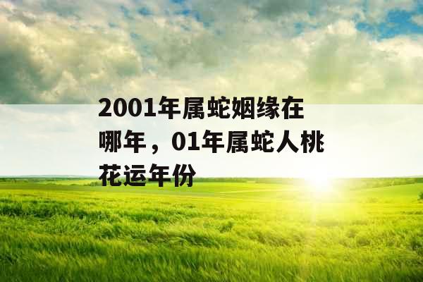 2001年属蛇姻缘在哪年，01年属蛇人桃花运年份