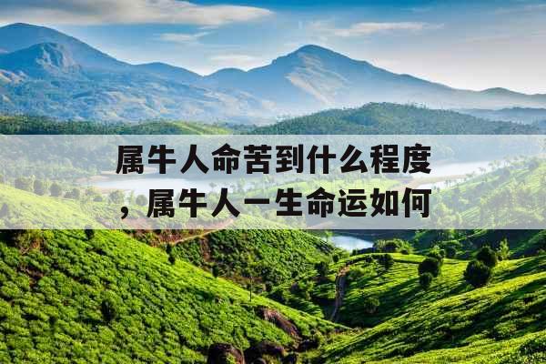 属牛人命苦到什么程度,属牛人一生命运如何 属牛人命苦到什么程度,属牛人一生命运如何