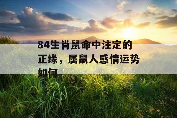 84生肖鼠命中注定的正缘，属鼠人感情运势如何