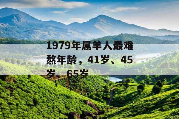 1979年属羊人最难熬年龄,41岁、45岁、65岁 1979年属羊人最难熬年龄,41岁、45岁、65岁