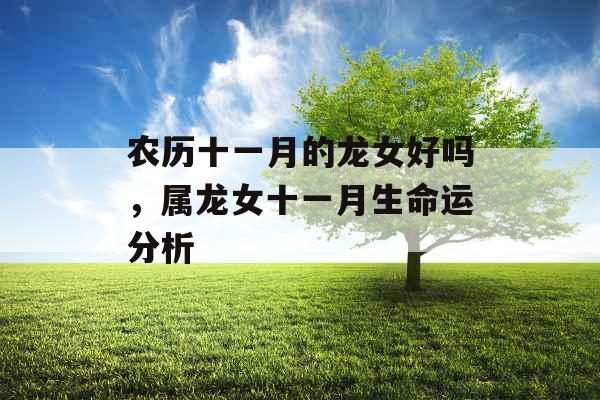 农历十一月的龙女好吗,属龙女十一月生命运分析 农历十一月的龙女好吗,属龙女十一月生命运分析