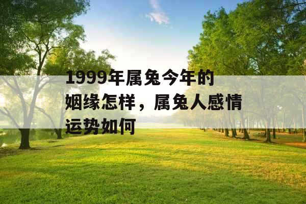 1999年属兔今年的姻缘怎样，属兔人感情运势如何