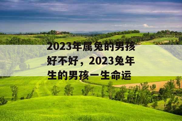 2023年属兔的男孩好不好,2023兔年生的男孩一生命运 2023年属兔的男孩好不好,2023兔年生的男孩一生命运
