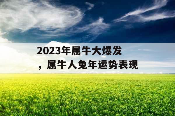 2023年属牛大爆发,属牛人兔年运势表现 2023年属牛大爆发,属牛人兔年运势表现